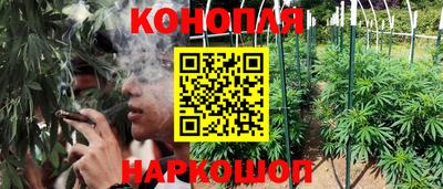 mdpv Моздок