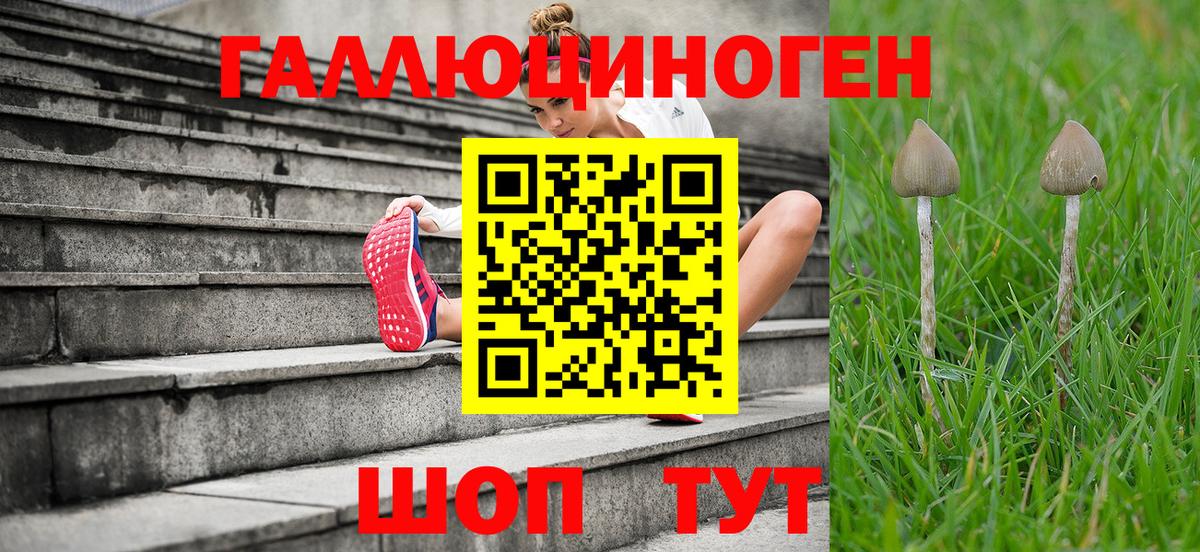 Псилоцибиновые грибы MAGIC MUSHROOMS  Вход с VPN  Фрязино 
