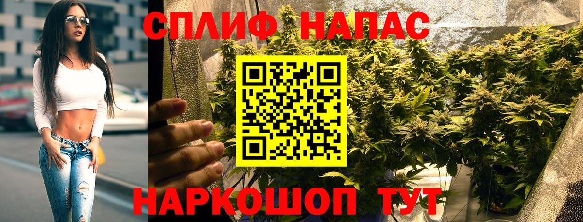 Каннабис семена  Вход с VPN  Фрязино  Бошки Шишки OG Kush 